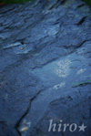 rainy_ripple